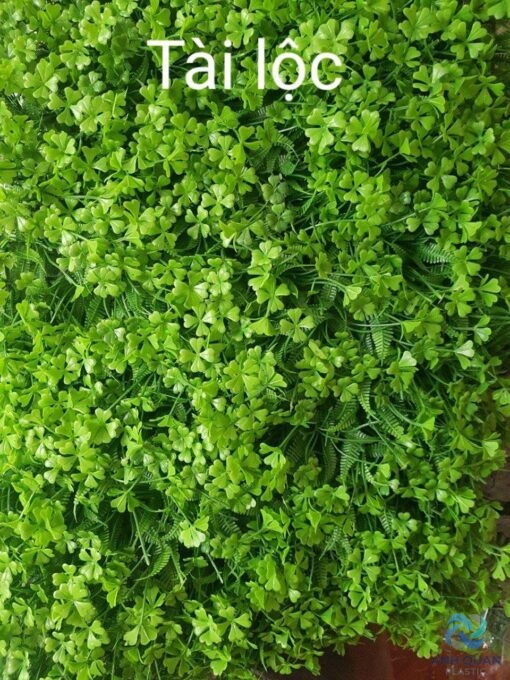 CỎ NHỰA TRANG TRÍ