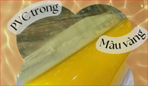 76e829552e12f94ca003