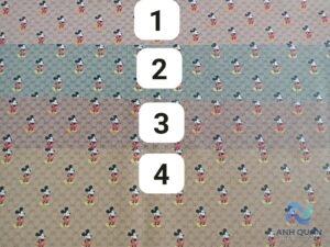 1cc0cef91344e91ab055